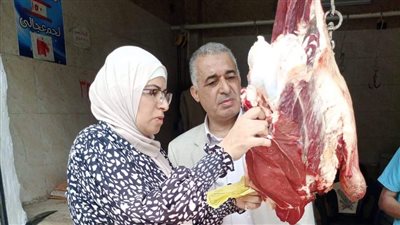 تحرير 9 محاضر متنوعة وضبط 132 كيلو لحوم وأسماك غير صالحة بالمنيا