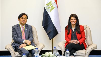 المشاط تبحث مع بنك التصدير والاستيراد الكوري وضع خطة للتعاون المستقبلي