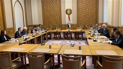 مباحثات مصرية - بريطانية حول إفريقيا وسوريا والأزمة الأوكرانية 