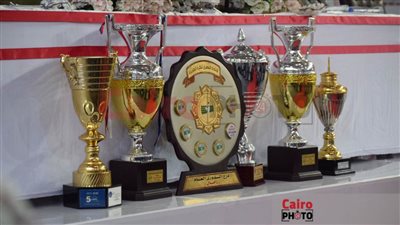 مرتضى منصور: اللي سلم الكأس للجمهور في ماتش اليد ميعرفش الأصول