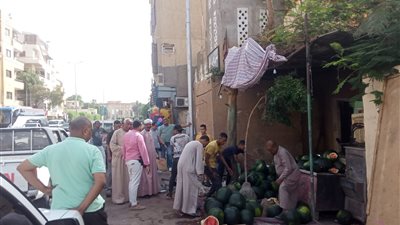 تحرير 71 محضرًا متنوعًا في حملة لمرافق الأقصر بشوارع المدينة