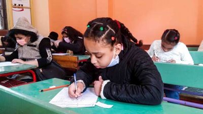 لينك مفعل.. نتيجة الصف الرابع الابتدائي 2024.. 4 ألوان تحدد مستوى الطالب