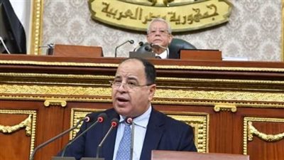 وزير المالية: الضرائب والرسوم الجديدة توفر للدولة 5 مليارات جنيه والهدف منها الحفاظ على دعم الخبز