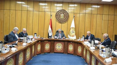 القوى العاملة: صندوق التمويل والتدريب أنفق 159 مليون جنيه منذ تأسيسه 