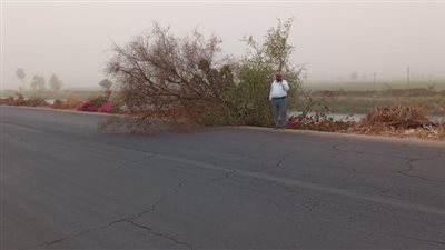 رفع درجة الاستعداد القصوى في الأقصر لمواجهة الطقس السيئ