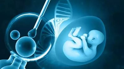 باحثون يابانيون يتمكنون من تطوير علاج العقم والعيوب الخلقية | دراسة 