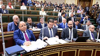 تأثيراته سلبية.. حقوق الإنسان بالنواب: توقيت تعديل قانون ضريبة الدمغة ليس مناسبًا