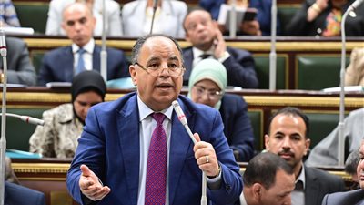 وزير المالية: ضرائب ورسوم على السلع الترفيهية لتحصيل 5 مليارات جنيه بدلا من الاقتراض