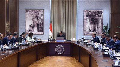 3 قرارات لرئيس الوزراء بشأن قانون الاستثمار وتخصيص أراضٍ لإقامة مشروعات