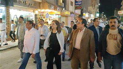 جولة تفقدية لوزيري التنمية المحلية والتخطيط في شوارع العريش | صور