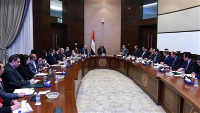 رئيس الوزراء يوجه بتوفير العدادات مسبوقة الدفع والذكية والتوسع في تصنيعها محليا