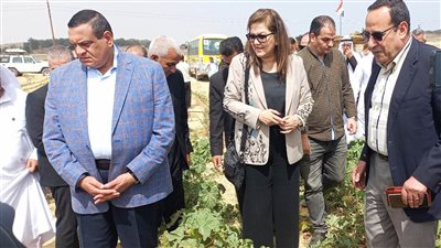 وزيرا التنمية المحلية والتخطيط يشهدان موسم حصاد الشمام السيناوي بالشيخ زويد| فيديو وصور