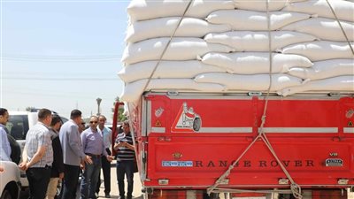 ضبط 4 سيارات محملة بالقمح بهدف الاحتكار في المنيا 