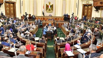 نائب وزير الاتصالات لـ النواب: تطبيق منظومة التقاضي عن بعد بالمحاكم وفر للدولة مليار جنيه سنويا