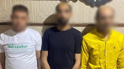 خناقة بالألعاب النارية.. الحبس 6 أشهر للمتهمين بإحداث عاهة مستديمة لسيدة في حدائق القبة