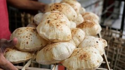 الزراعة: الدولة تشتري القمح من المزارعين بأعلى الأسعار لتقدمه خبزا مدعما للمواطنين 