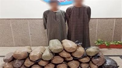 بحوزتهم مخدرات بنصف مليون جنيه.. القبض على عناصر إجرامية خلال حملة أمنية بقنا | صور