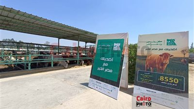 مع اقتراب عيد الأضحى.. بعض البنوك تتيح شراء صك الأضحية بالتقسيط