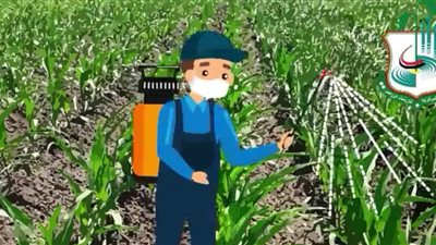 الزراعة: إنتاج فيلم كرتوني ومطبوعات ورقية للتوعية بمخاطر دودة الحشد 