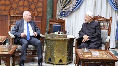 مممثل الأمم المتحدة لحوار الحضارات: ندعم وثيقة الأخوة الإنسانية.. ونعمل على تعميم مبادئها عالميًا