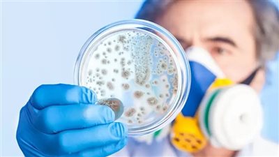 للوقاية من الأمراض.. علماء يطورون نظاما مبتكرا لتحديد بكتيريا الطعام 