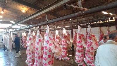 ننشر قائمة عناوين المجازر المفتوحة بالجيزة لذبح الأضاحي خلال العيد