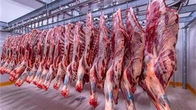 محافظ الجيزة: فتح المجازر بالمجان طوال أيام عيد الأضحى المبارك