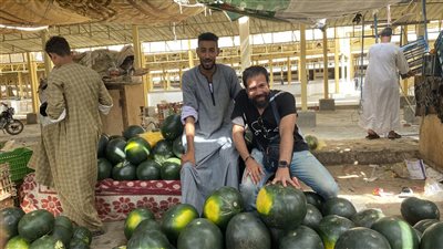 حمار وحلاوة.. البطيخ فاكهة الصيف الأولى لأهالي الأقصر والكيلو بـ6 جنيهات 