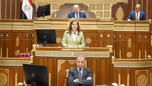 وزيرة التخطيط 