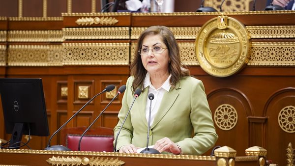 وزيرة التخطيط والتنمية