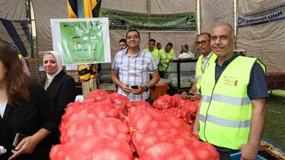 الزراعة: فحص 886 ألف طن بطاطس للتصدير منذ بداية العام وحتى نهاية مايو