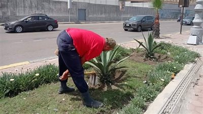 الإسكندرية تجهز الحدائق والمتنزهات استعدادًا لفصل الصيف