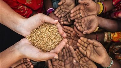 معلومات الوزراء: مع تصاعُد خطر دخول العالم في أزمة غذاء غير مسبوقة علينا بالزراعة الذكية