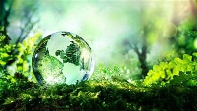 في اليوم العالمي للبيئة.. تعرف على تأثير التلوث البلاستيكي على الصحة