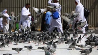 مناسك الحج والعمرة بالتفصيل.. دليلك الشامل لإقامة شعائر الله