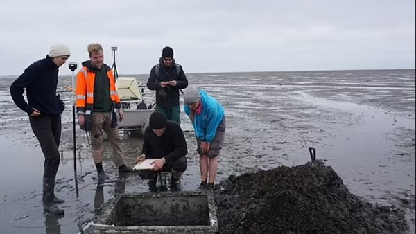 علماء يكتشفون بقايا