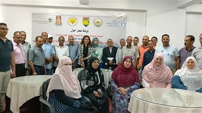 أكاديمية البحث العلمي: تسجيل بعض تمور الوادي الجديد كمؤشر جغرافي وعلامة جماعية