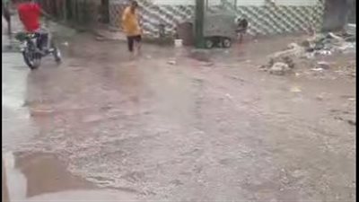 رياح مثيرة للرمال وغيوم.. أمطار مفاجئة تضرب محافظتي المنيا وكفر الشيخ | بث مباشر 