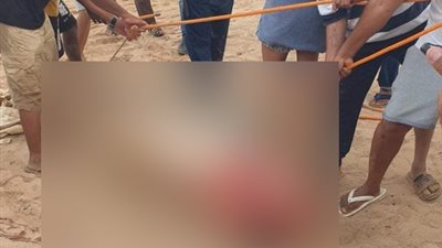 البيئة تعلن السيطرة على سمكة القرش المتسببة في حادث الغردقة لفحصها واستيفاء المعلومات عنها