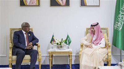وزير الخارجية السعودي يلتقي نظيره الإثيوبي لبحث العلاقات والقضايا الإقليمية