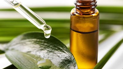 أبرزها علاج حب الشباب.. فوائد زيت شجرة الشاي