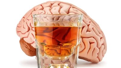 الإفراط في استهلاك المشروبات الكحولية خلال فترة المراهقة يؤثر على الخلايا العصبية | دراسة  