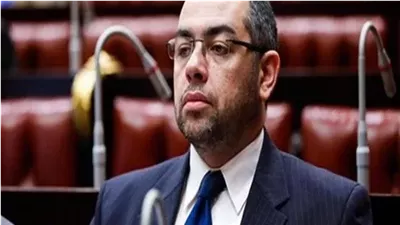 هل تستفيد مصر من التعاون مع مؤسسة التمويل الدولية في برنامج الطروحات؟.. عضو مجلس النواب السابق يوضح