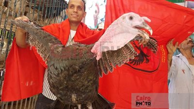 ديك رومي هدية.. صاحب محل طيور بسوهاج يعلن مسابقة لتوقع نتيجة مباراة الأهلي والوداد