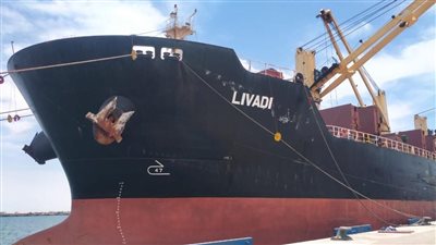 اقتصادية قناة السويس: نمو حركة تداول البضائع في شرق بورسعيد بنسبة 209% خلال مايو 2023