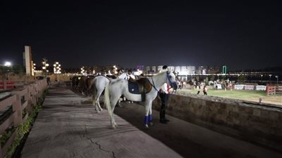 الداخلية تنظم الحلقة الثالثة لبطولة الجمهورية لالتقاط الأوتاد ليلًا على ملاعب وادى الفروسية | فيديو 