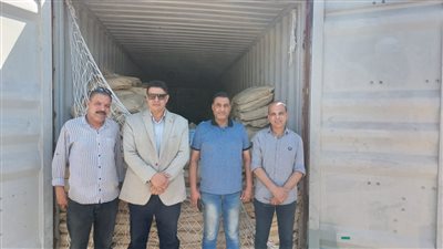 تغريم الشركة 18 مليون جنيه.. الجمارك تضبط محاولة تهريب كمية من المبيدات الزراعية المحظور استيرادها 