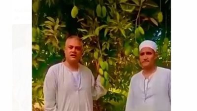الفلاحين تحذر من الحصاد المبكر لـ المانجو.. وتنصح بعدم تناوله قبل نهاية يونيو| فيديو