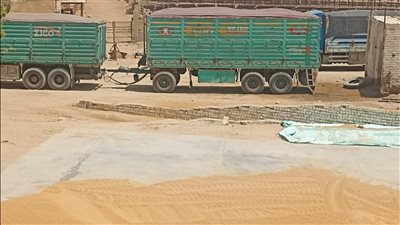 التموين: ضبط 700 طن قمح داخل مخزن بالظهير الصحراوي بأسيوط