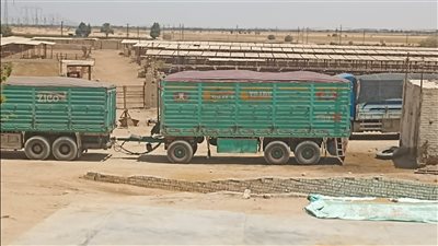 ضبط 852 طن قمح داخل مخازن بغرض بيعها في السوق السوداء بأسيوط